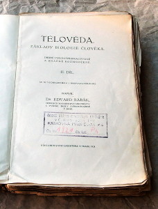 Babak Teloveda 1924c