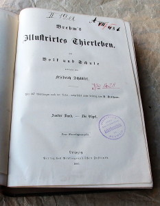 Brehms Illustrirtes Thierleben 1883 58b1