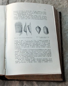 staré knihy přírodozpyt zoologie