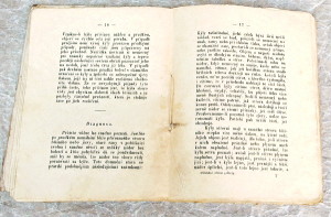 Storch leceni prutrzi 1884a - knihy naučné, atlasy, slovníky