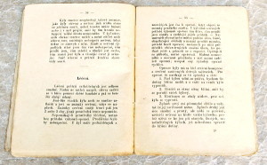 Storch leceni prutrzi 1884b - knihy naučné, atlasy, slovníky