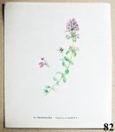 obrazky kvetin k zaramovani materidouska 82 - atlas květin a rostlin