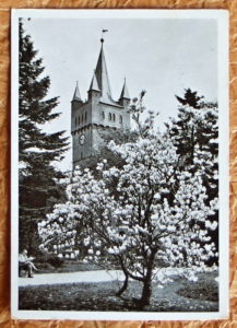 pohlednice Vysoke Myto prazska brana 1041 - pohlednice, známky, celistvosti