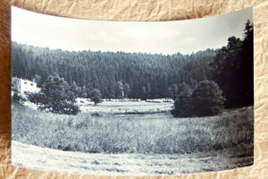 pohlednice Zirovnice pionyrsky tabor 1078 - pohlednice, známky, celistvosti