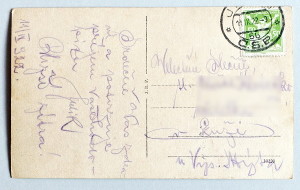 stara pohlednice Jicin stromoradi 383a - pohlednice, známky, celistvosti